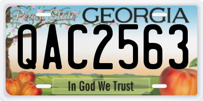 GA license plate QAC2563