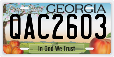 GA license plate QAC2603