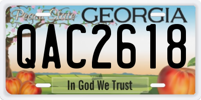 GA license plate QAC2618