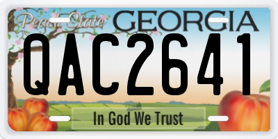 GA license plate QAC2641