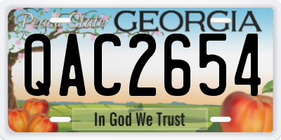 GA license plate QAC2654