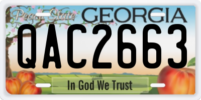 GA license plate QAC2663