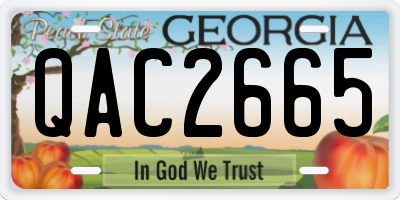 GA license plate QAC2665