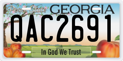GA license plate QAC2691