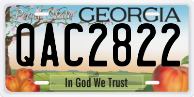 GA license plate QAC2822