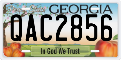GA license plate QAC2856