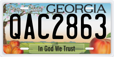 GA license plate QAC2863