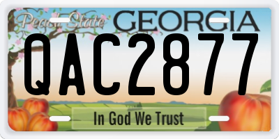 GA license plate QAC2877