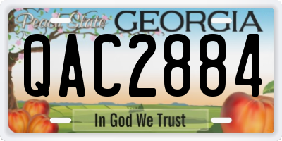GA license plate QAC2884