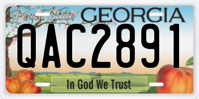 GA license plate QAC2891