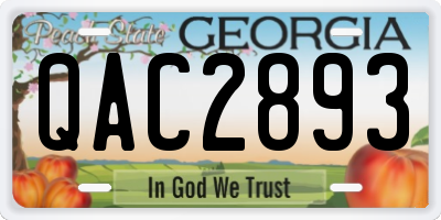 GA license plate QAC2893