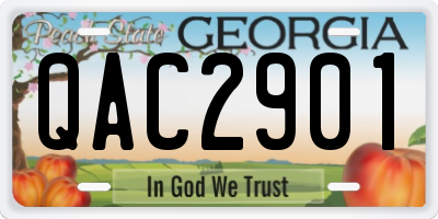 GA license plate QAC2901