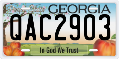GA license plate QAC2903
