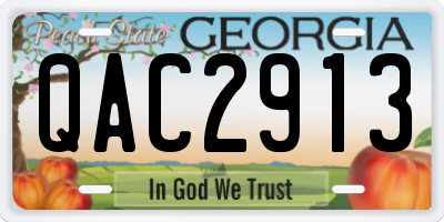 GA license plate QAC2913