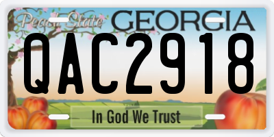GA license plate QAC2918