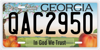GA license plate QAC2950