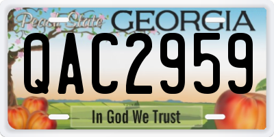 GA license plate QAC2959