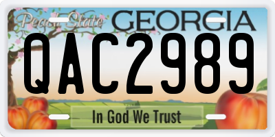 GA license plate QAC2989