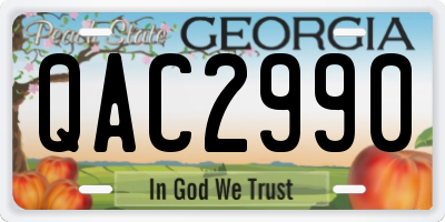 GA license plate QAC2990