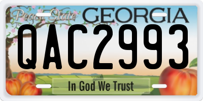 GA license plate QAC2993