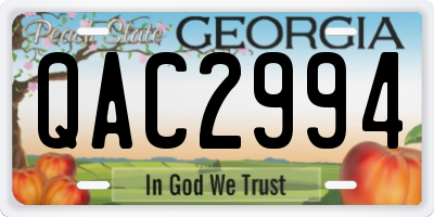 GA license plate QAC2994