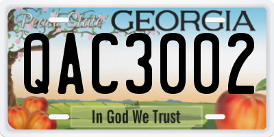 GA license plate QAC3002