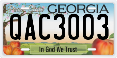 GA license plate QAC3003
