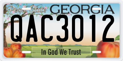 GA license plate QAC3012
