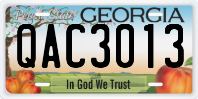 GA license plate QAC3013