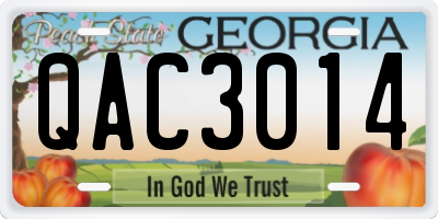 GA license plate QAC3014