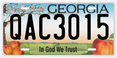 GA license plate QAC3015