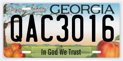 GA license plate QAC3016