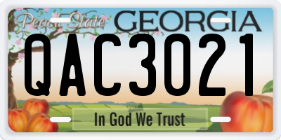 GA license plate QAC3021