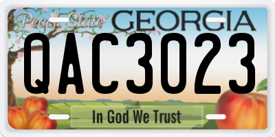 GA license plate QAC3023