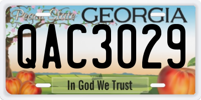 GA license plate QAC3029