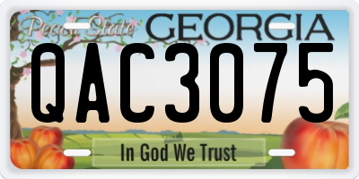 GA license plate QAC3075