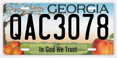 GA license plate QAC3078