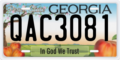 GA license plate QAC3081