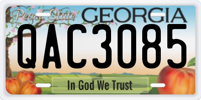GA license plate QAC3085