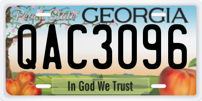 GA license plate QAC3096
