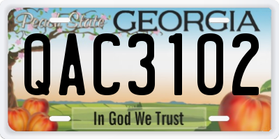 GA license plate QAC3102