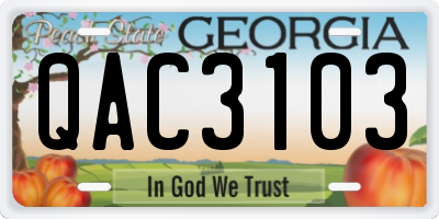 GA license plate QAC3103