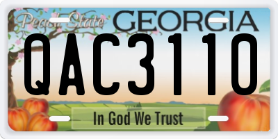 GA license plate QAC3110