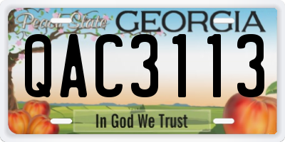 GA license plate QAC3113