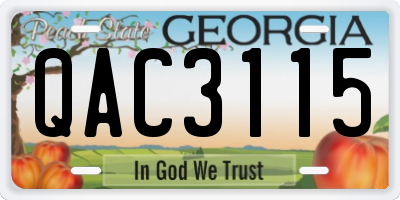 GA license plate QAC3115