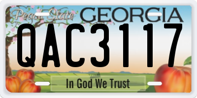 GA license plate QAC3117