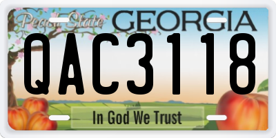 GA license plate QAC3118
