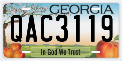 GA license plate QAC3119