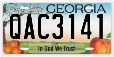 GA license plate QAC3141