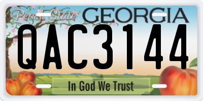 GA license plate QAC3144